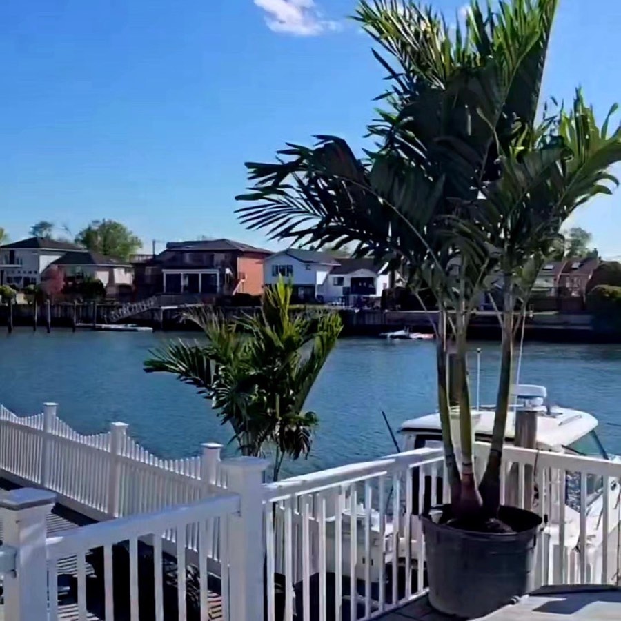 Christmas palm trees on a waterfront patio